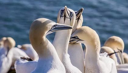 普洱最新公积金卡提取方法分析(最方便真实的普洱公积金卡提取后还可以继续使用吗方法)