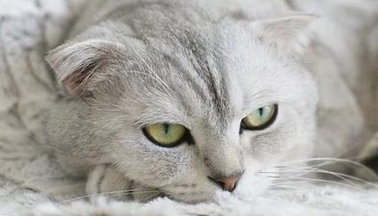 普洱最新公积金卡提取现金操作及规定方法分析(最方便真实的普洱公积金卡提取现金操作及规定是什么方法)