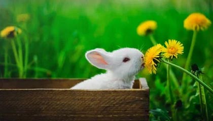 普洱最新公积金卡提取现金方法app方法分析(最方便真实的普洱公积金卡怎样从手机里取出来?方法)